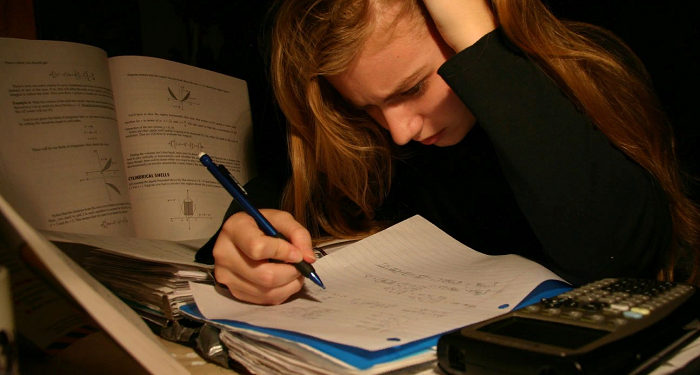 Що робити, якщо виконавець не виконав замовлення дипломної роботи: поради для студентів