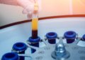 PRP Courses: concept, essence and purpose