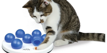 Какие игрушки выбирать для котов на Zooprice и несколько советов