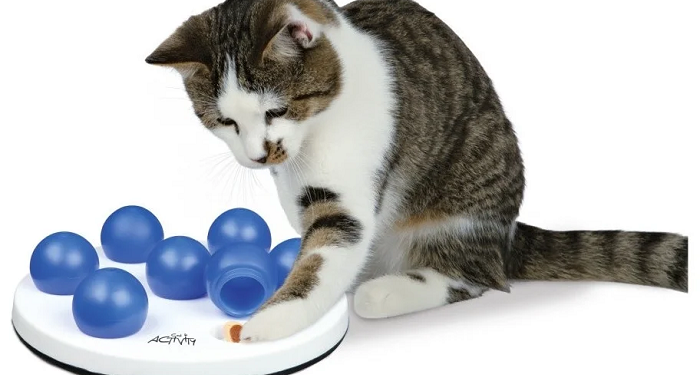 Какие игрушки выбирать для котов на Zooprice и несколько советов