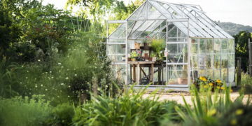 Планування розміщення теплиці на ділянці: важливі моменти