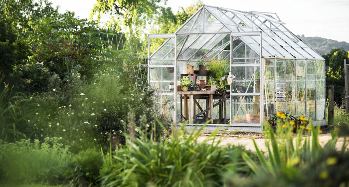 Планування розміщення теплиці на ділянці: важливі моменти