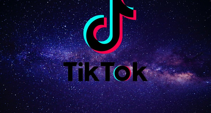 How to properly use the ssstik program to download from TikTok