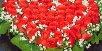 Цікаві ідеї оформлення букетів від флористів Marta Flowers