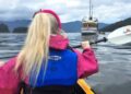 Dockside drama: the unspoken rules of marina life
