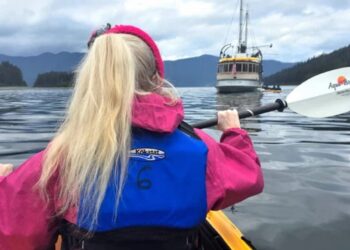 Dockside drama: the unspoken rules of marina life