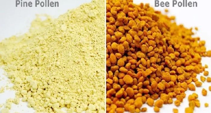 Pine pollen vs bee pollen: what actually makes them different