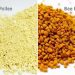 Pine pollen vs bee pollen: what actually makes them different