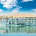The living jewel of Egypt: adventures beneath a turquoise horizon