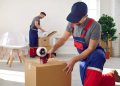 Commercial relocation without delays, documents, packaging and work supervision