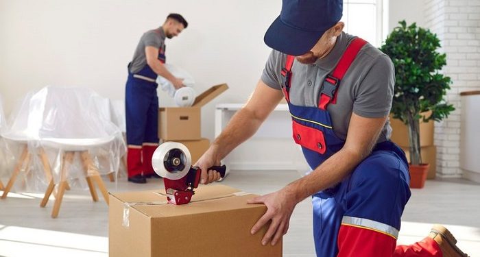 Commercial relocation without delays, documents, packaging and work supervision